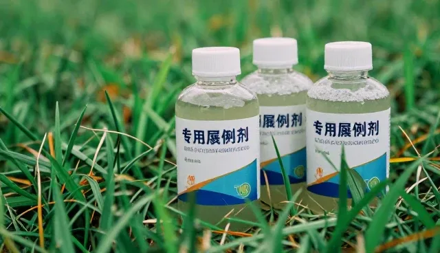 仓储配送选型中的关键因素与实践路径